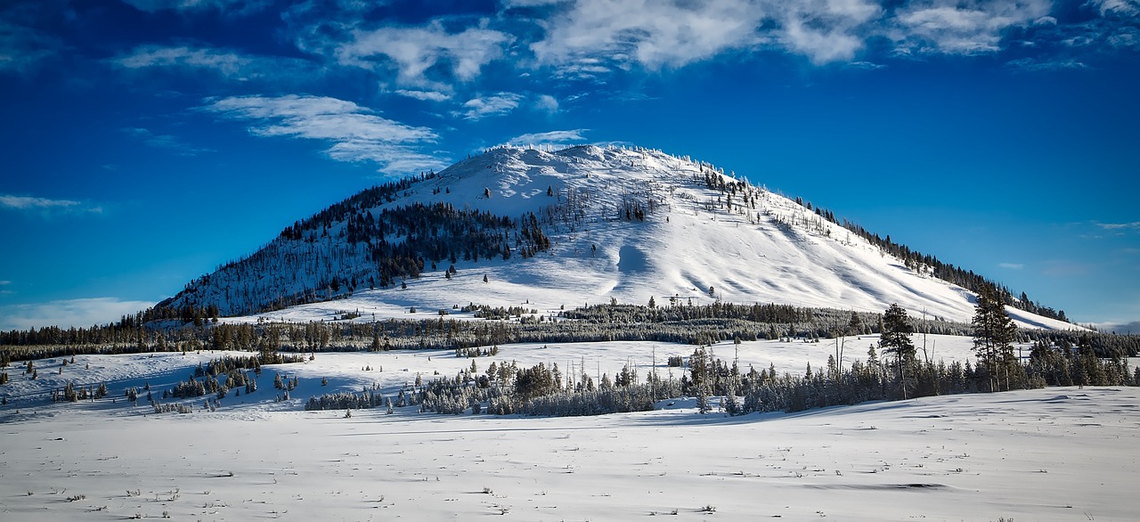 Exploring the Unique Geothermal Features of Yellowstone